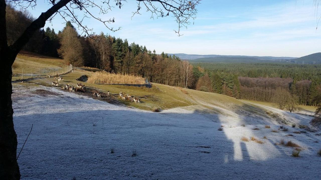 Ferienhaeuser Zur Schaeferei Mitwitz Exterior foto